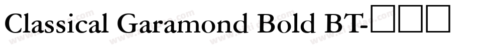 Classical Garamond Bold BT字体转换